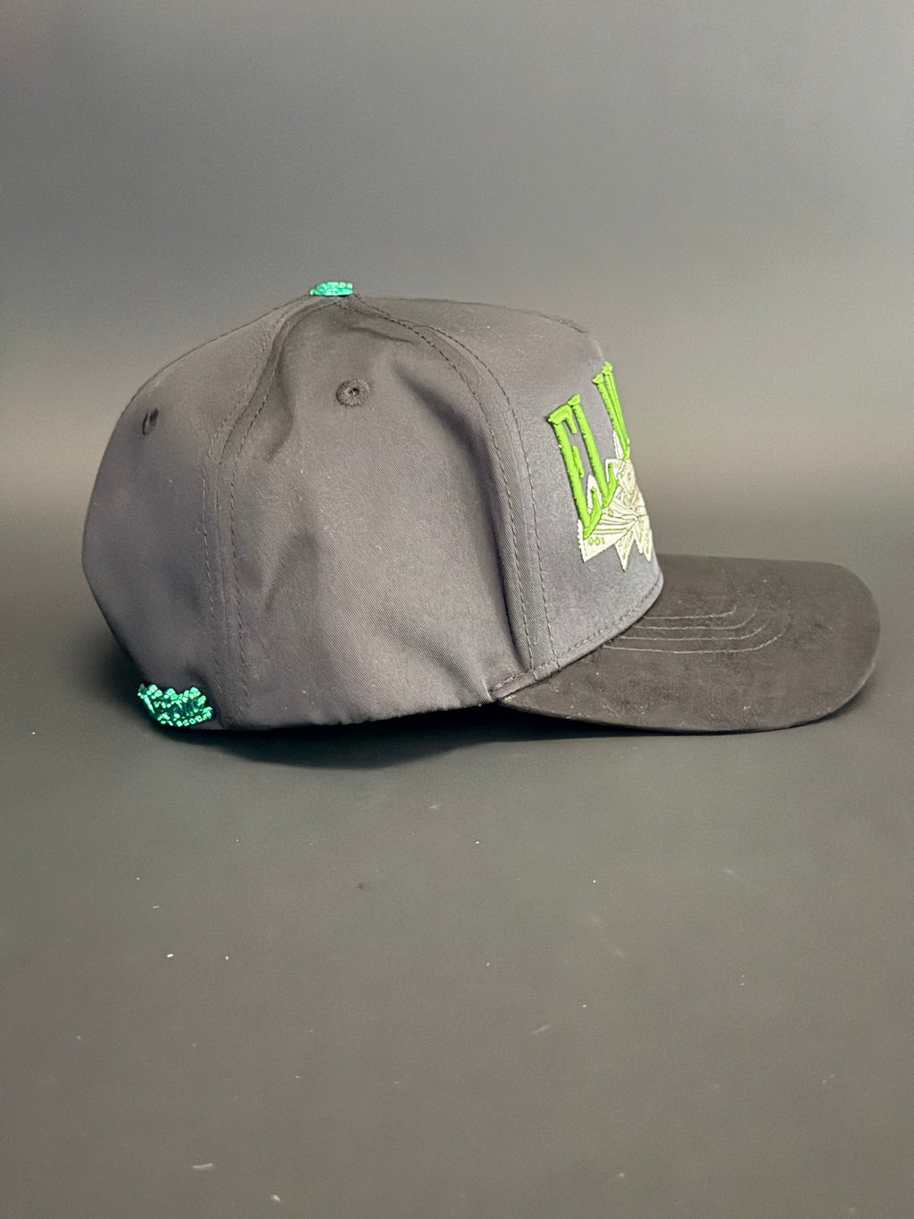 El viejon Money