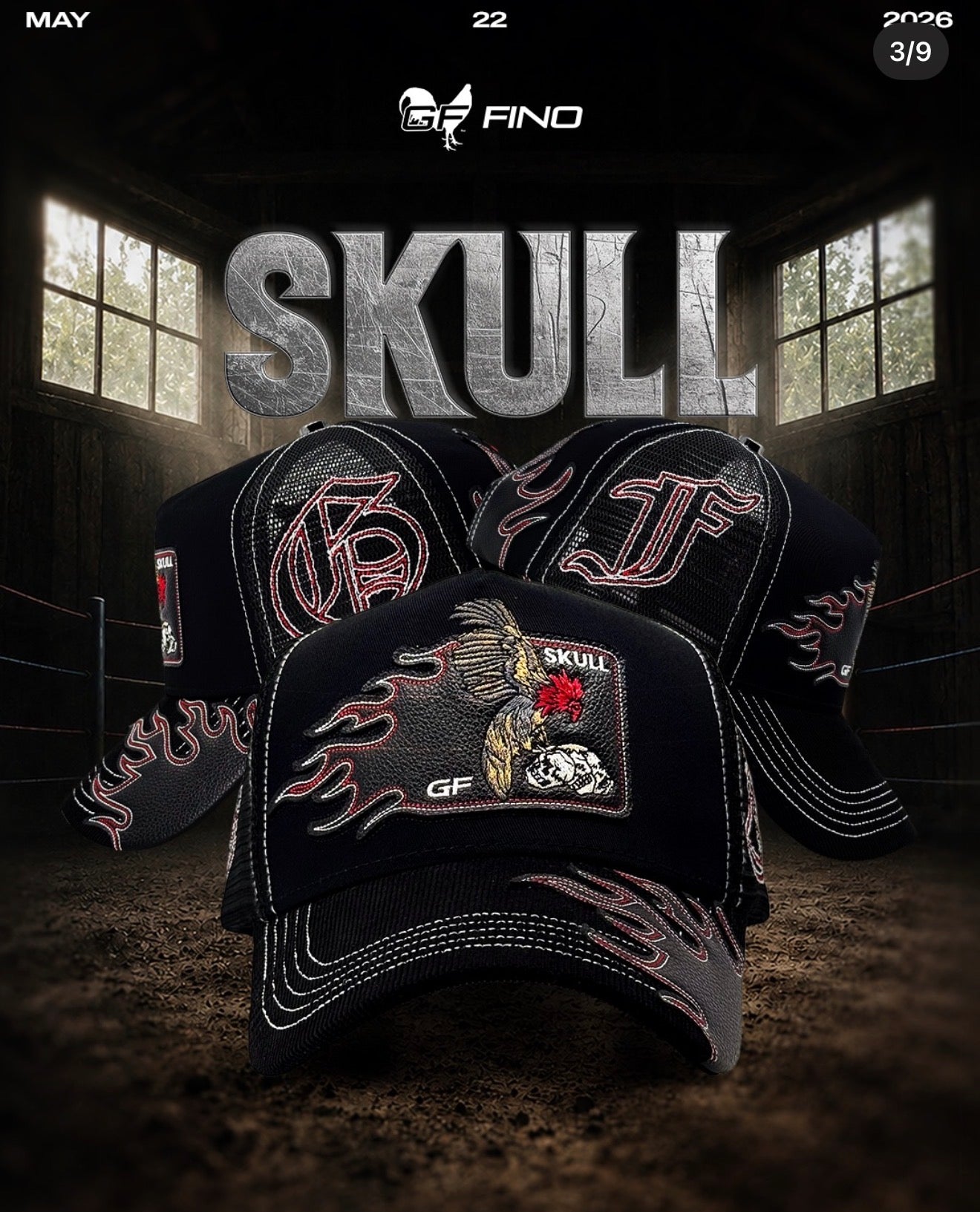 Gallo fino “Skull”